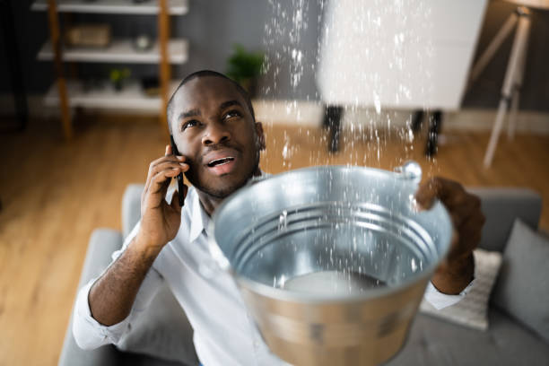 Best Water damage cleanup near me  in Perryman, MD