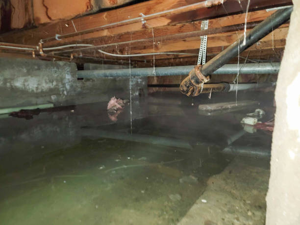 Best Ceiling water damage repair  in Perryman, MD