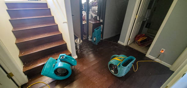 Best Fire Damage Restoration  in Perryman, MD