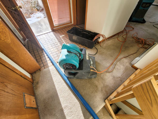 Best Flood restoration services  in Perryman, MD