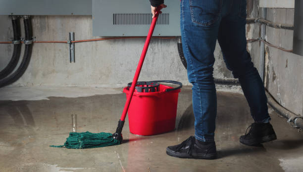 Water damage restoration mold remediation in Perryman, MD