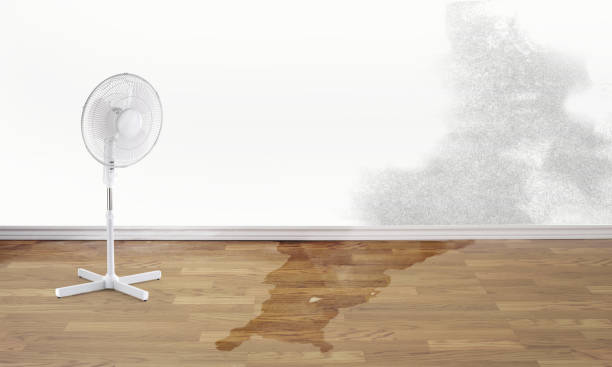 Best Carpet water damage restoration  in Perryman, MD