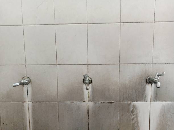 Best Mold removal after water damage  in Perryman, MD