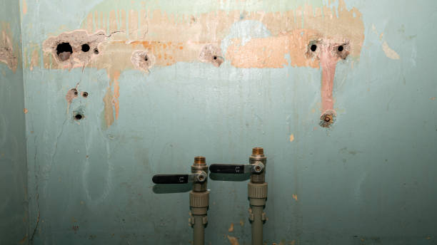 Best 24/7 water damage repair  in Perryman, MD