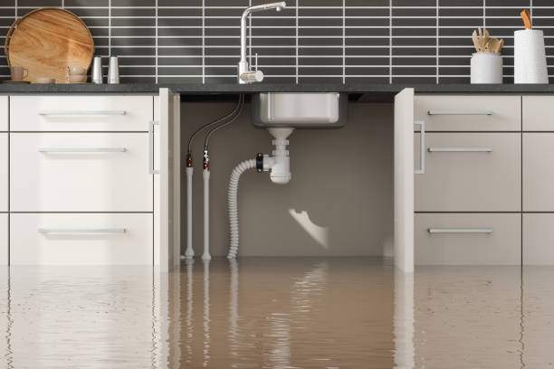 Best Professional water damage repair  in Perryman, MD