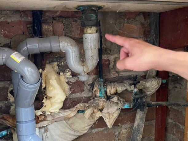 Best Sewage cleanup and water damage restoration  in Perryman, MD